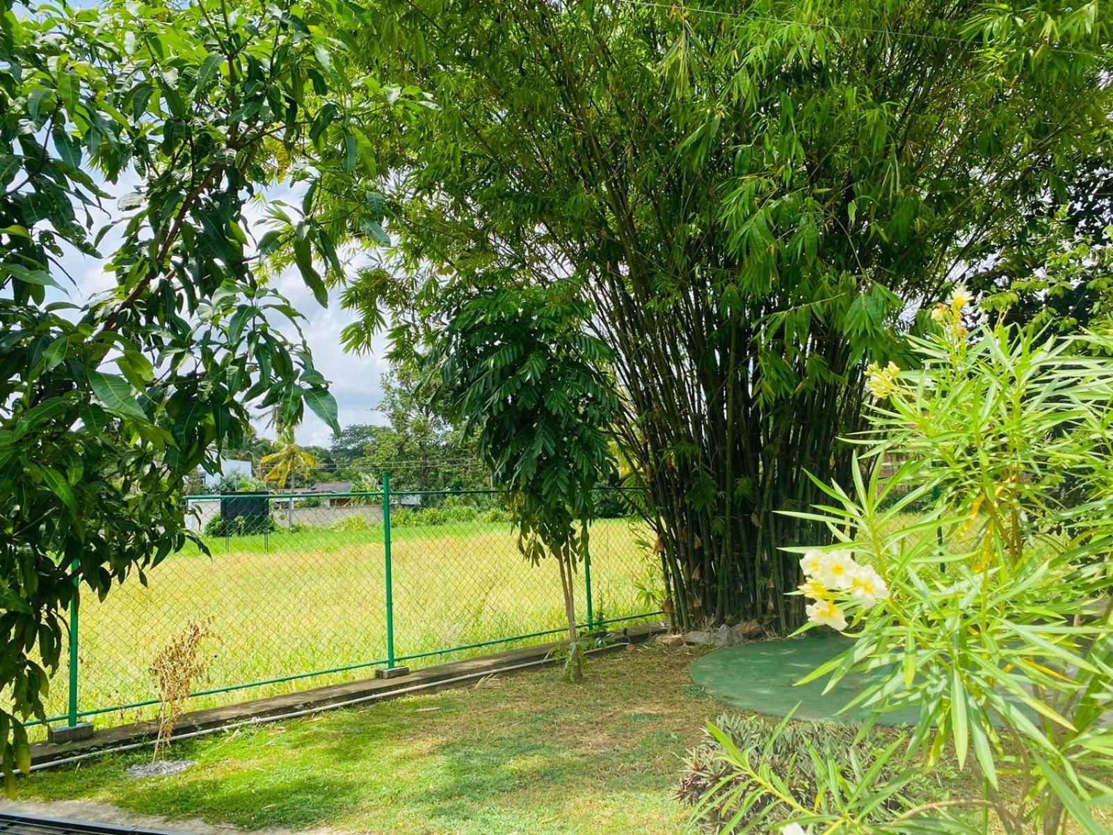 Premium Cottages B&B Kurunegala Exterior foto