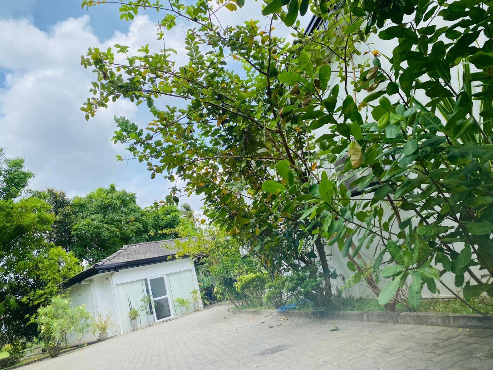Premium Cottages B&B Kurunegala Exterior foto