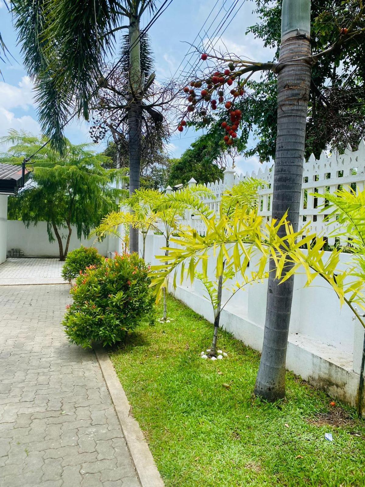 Premium Cottages B&B Kurunegala Exterior foto